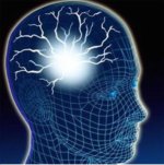 Brain (2)
